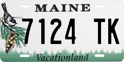 ME license plate 7124TK