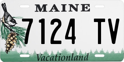 ME license plate 7124TV