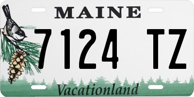 ME license plate 7124TZ