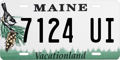 ME license plate 7124UI