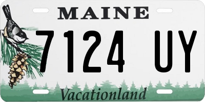 ME license plate 7124UY