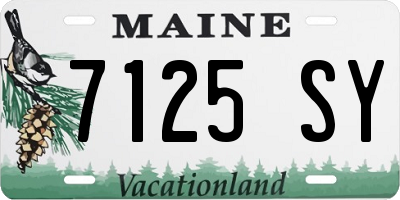 ME license plate 7125SY