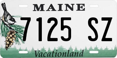 ME license plate 7125SZ