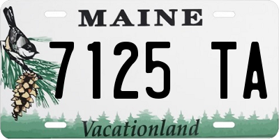 ME license plate 7125TA