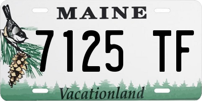 ME license plate 7125TF