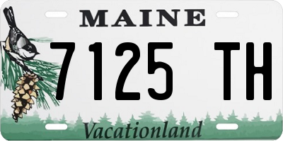 ME license plate 7125TH