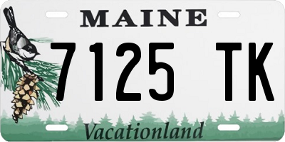 ME license plate 7125TK