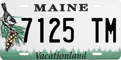 ME license plate 7125TM