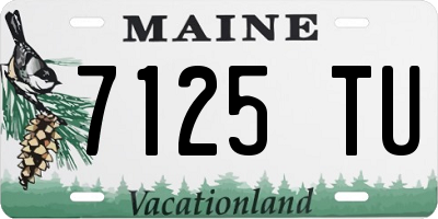 ME license plate 7125TU