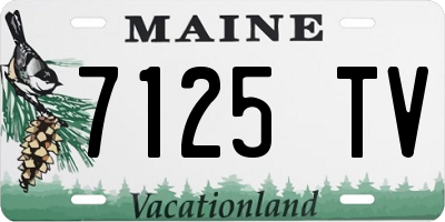 ME license plate 7125TV