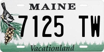 ME license plate 7125TW