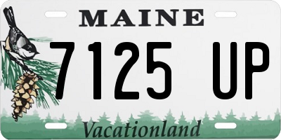ME license plate 7125UP