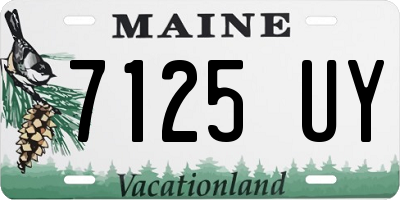 ME license plate 7125UY