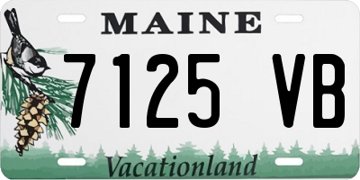 ME license plate 7125VB