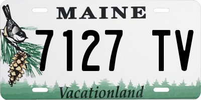 ME license plate 7127TV