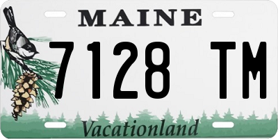ME license plate 7128TM