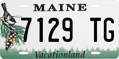 ME license plate 7129TG