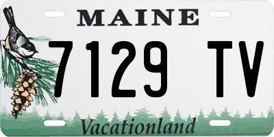 ME license plate 7129TV