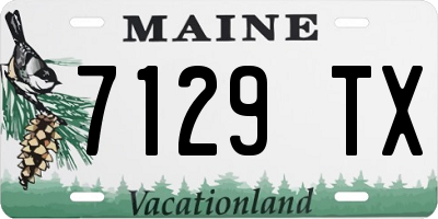 ME license plate 7129TX