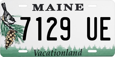 ME license plate 7129UE