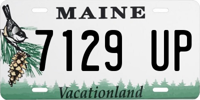 ME license plate 7129UP