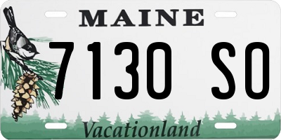 ME license plate 7130SO