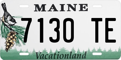 ME license plate 7130TE