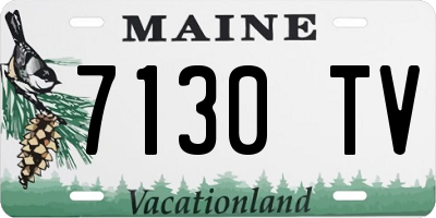 ME license plate 7130TV