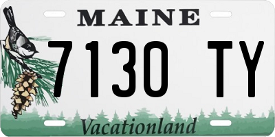 ME license plate 7130TY