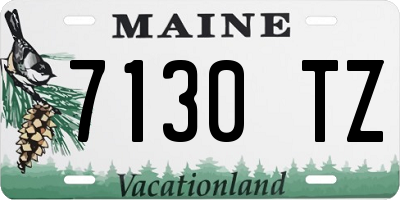 ME license plate 7130TZ
