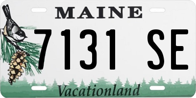 ME license plate 7131SE