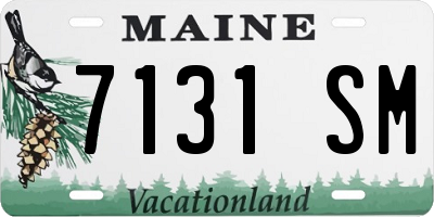 ME license plate 7131SM