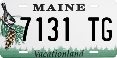 ME license plate 7131TG