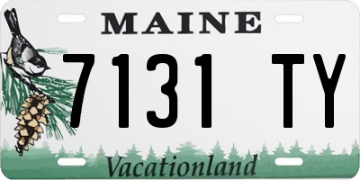 ME license plate 7131TY
