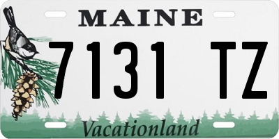 ME license plate 7131TZ