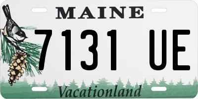 ME license plate 7131UE