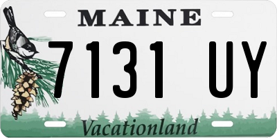 ME license plate 7131UY