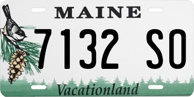ME license plate 7132SO