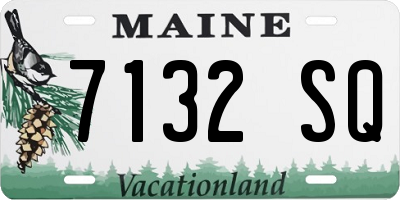 ME license plate 7132SQ