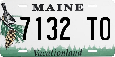 ME license plate 7132TO