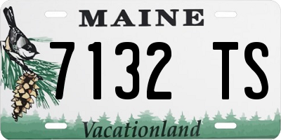 ME license plate 7132TS