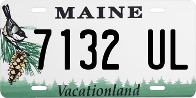 ME license plate 7132UL