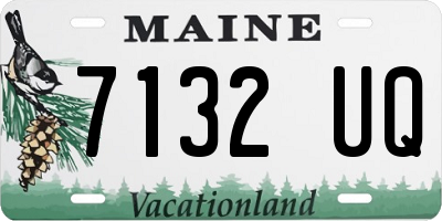 ME license plate 7132UQ