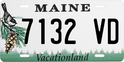 ME license plate 7132VD