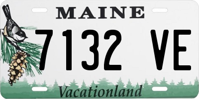 ME license plate 7132VE
