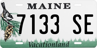 ME license plate 7133SE