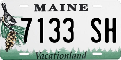 ME license plate 7133SH