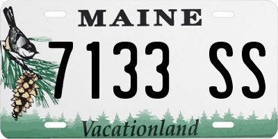 ME license plate 7133SS
