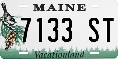 ME license plate 7133ST
