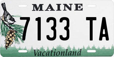 ME license plate 7133TA